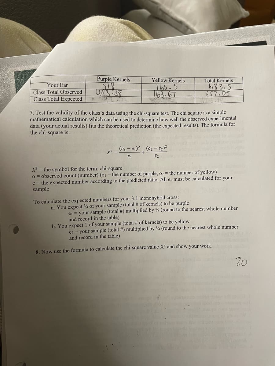 Your Ear
Class Total Observed
Class Total Expected
Purple Kernels
$18
493.38
92
Yellow Kernels
165.5
163.67
x² =
7. Test the validity of the class's data using the chi-square test. The chi square is a simple
mathematical calculation which can be used to determine how well the observed experimental
data (your actual results) fits the theoretical prediction (the expected results). The formula for
the chi-square is:
(0₁-0₁)² (0₂-0₂)²
e1
e2
Total Kernels
683.5
657.05
X² = the symbol for the term, chi-square
o = observed count (number) (01 = the number of purple, 02 = the number of yellow)
e = the expected number according to the predicted ratio. All en must be calculated for your
sample
To calculate the expected numbers for your 3:1 monohybrid cross:
a. You expect % of your sample (total # of kernels) to be purple
e₁ = your sample (total #) multiplied by 4 (round to the nearest whole number
and record in the table)
b. You expect 1 of your sample (total # of kernels) to be yellow
e2 = your sample (total #) multiplied by 4 (round to the nearest whole number
and record in the table)
8. Now use the formula to calculate the chi-square value X² and show your work.
20