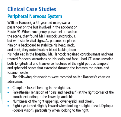 Clinical Case Studies
Peripheral Nervous System
William Hancock, a 44-year-old male, was a
passenger on the bus involved in the accident on
Route 91. When emergency personnel arrived on
the scene, they found Mr. Hancock unconscious,
but with stable vital signs. As paramedics placed
him on a backboard to stabilize his head, neck,
and back, they noted watery blood leaking from
his right ear. In the hospital, Mr. Hancock regained consciousness and was
treated for deep lacerations on his scalp and face. Head CT scans revealed
both longitudinal and transverse fractures of the right petrous temporal
and sphenoid bones that extended through the foramen rotundum and
foramen ovale.
The following observations were recorded on Mr. Hancock's chart on
admission:
• Complete loss of hearing in the right ear.
• Paresthesia (sensation of "pins and needles") at the right corner of the
mouth, extending to the lower lip and chin.
• Numbness of the right upper lip, lower eyelid, and cheek.
Right eye turned slightly inward when looking straight ahead. Diplopia
(double vision), particularly when looking to the right.
