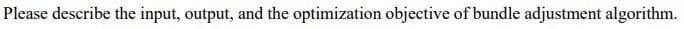 Please describe the input, output, and the optimization objective of bundle adjustment algorithm.
