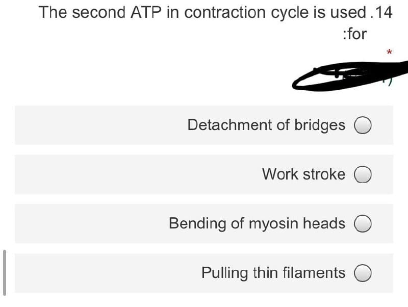 The second ATP in contraction cycle is used .14
:for
Detachment of bridges O
Work stroke O
Bending of myosin heads O
Pulling thin filaments
