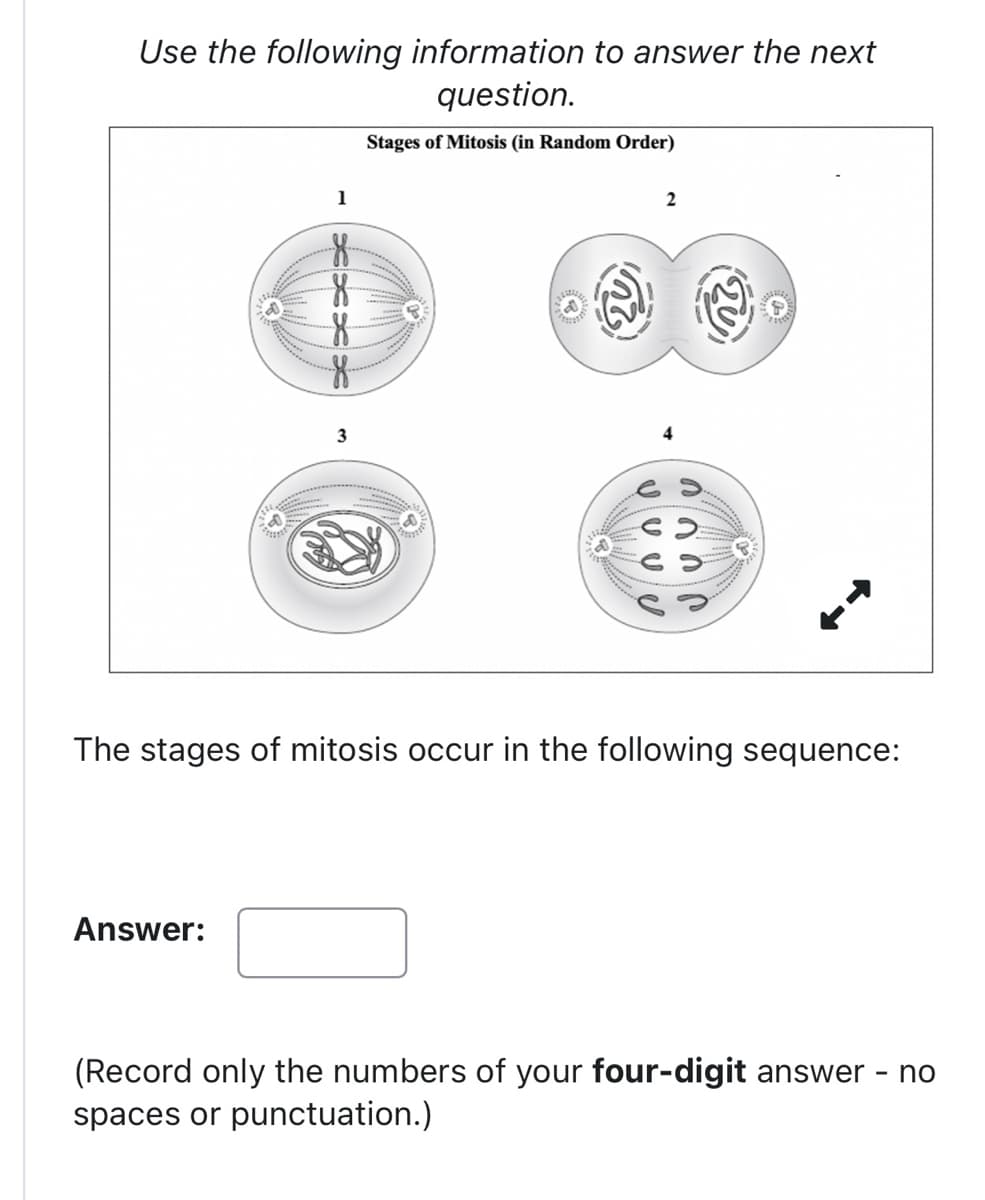 Use the following information to answer the next
question.
Stages of Mitosis (in Random Order)
1
Answer:
XXXX
g
G
3
U U
2
U
=>
I
P
P
The stages of mitosis occur in the following sequence:
(Record only the numbers of your four-digit answer - no
spaces or punctuation.)
