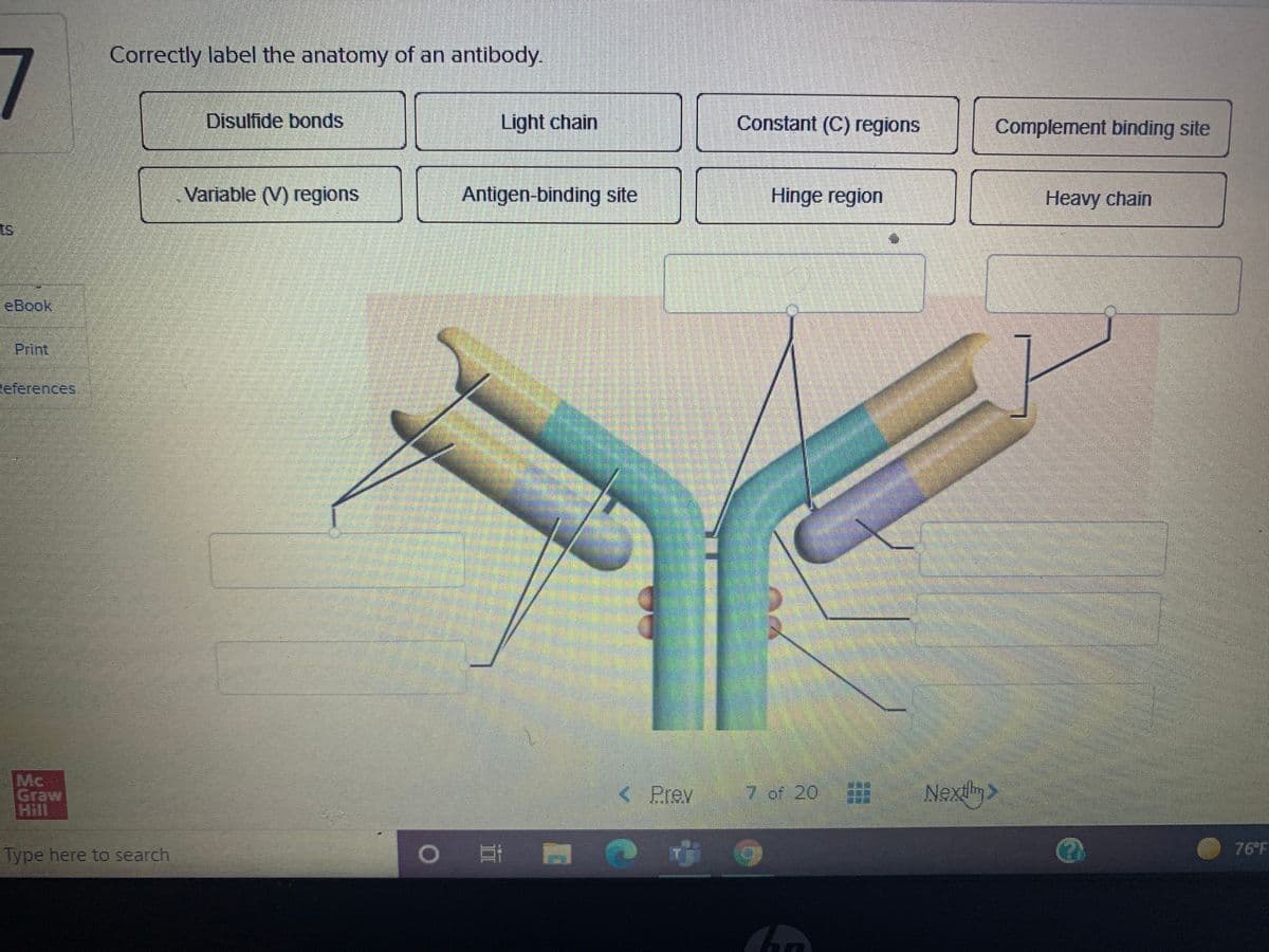 7
Correctly label the anatomy of an antibody.
Disulfide bonds
Light chain
Constant (C) regions
Complement binding site
Variable (V) regions
Antigen-binding site
Hinge region
Heavy chain
ts
eBook,
Print
References
Mc
Graw
Hill
Nextlim
< Prev
7 of 20
Type here to search
76 F
