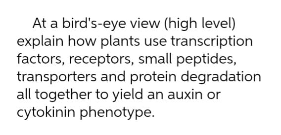 At a bird's-eye view (high level)
explain how plants use transcription
factors, receptors, small peptides,
transporters and protein degradation
all together to yield an auxin or
cytokinin phenotype.