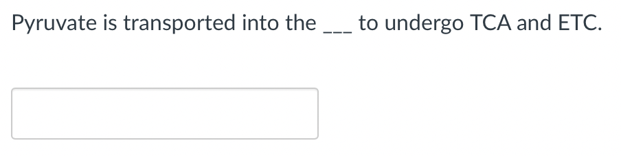 Pyruvate is transported into the
to undergo TCA and ETC.
