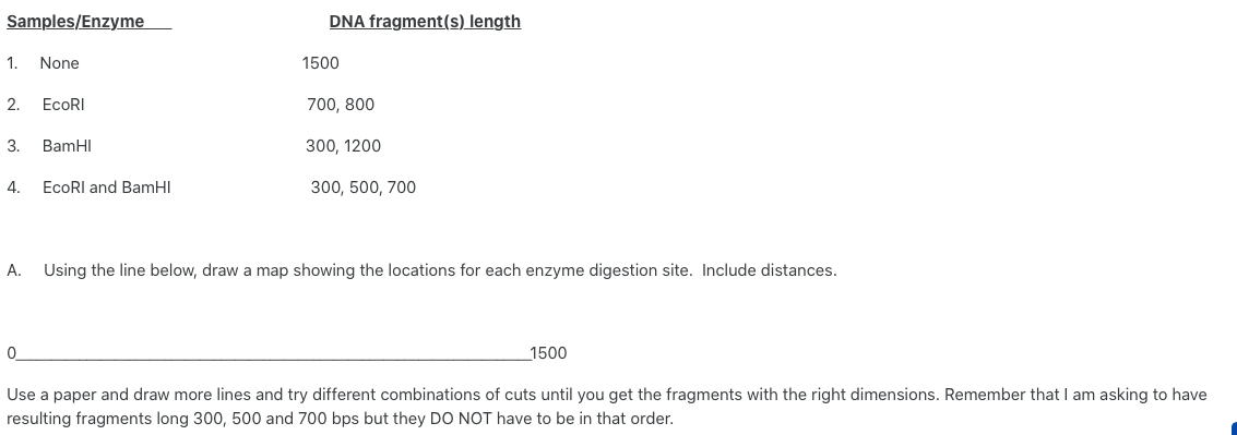 Samples/Enzyme
DNA fragment(s) length
1.
None
1500
2.
ECORI
700, 800
3.
BamHI
300, 1200
4.
EcoRI and BamHI
300, 500, 700
А.
Using the line below, draw a map showing the locations for each enzyme digestion site. Include distances.
_1500
Use
paper and draw more lines and try different combinations of cuts until you get the fragments with the right dimensions. Remember that I am asking to have
resulting fragments long 300, 500 and 700 bps but they DO NOT have to be in that order.
