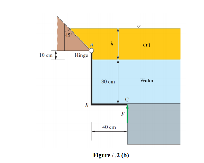 45
h
Oil
10 cm
Hinge
80 cm
Water
В
F
40 cm
Figure 2 (b)
