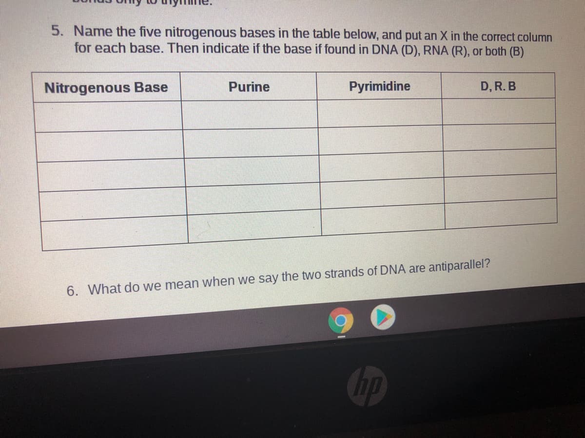 5. Name the five nitrogenous bases in the table below, and put an X in the correct column
for each base. Then indicate if the base if found in DNA (D), RNA (R), or both (B)
Nitrogenous Base
Purine
Pyrimidine
D, R. B
6. What do we mean when we say the two strands of DNA are antiparallel?
Chp
