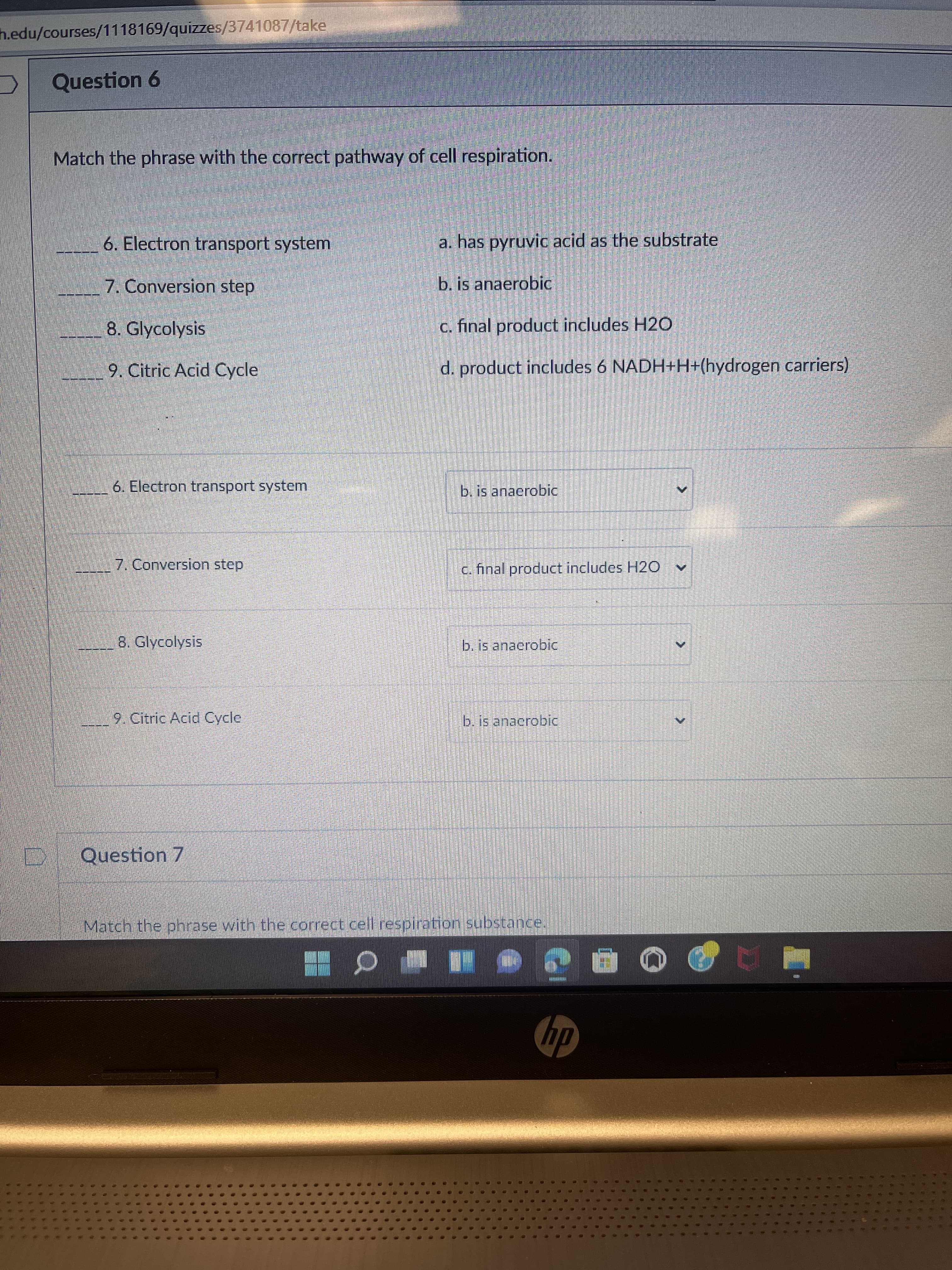 h.edu/courses/1118169/quizzes/3741087/take
Question 6
Match the phrase with the correct pathway of cell respiration.
6. Electron transport system
a. has pyruvic acid as the substrate
7. Conversion step
b. is anaerobic
8. Glycolysis
c. final product includes H2O
9. Citric Acid Cycle
d. product includes 6 NADH+H+(hydrogen carriers)
6. Electron transport system
b. is anaerobic
17. Conversion step
c. final product includes H20
8. Glycolysis
b. is anaerobic
9. Citric Acid Cycle
b. is anacrobic
Question 7
Match the phrase with the correct cell respiration substance.
dy
