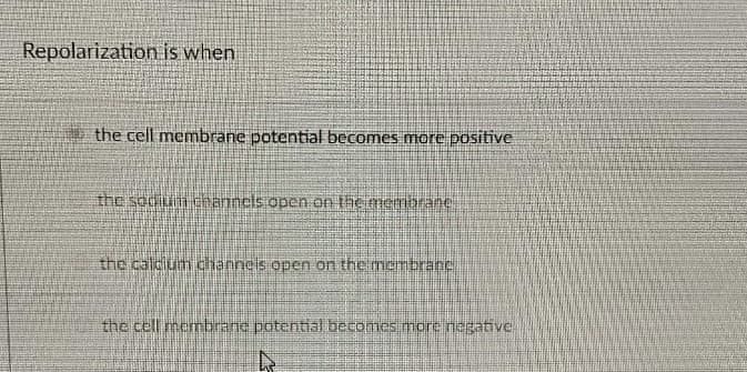 Repolarization is when
the cell membrane potential becomes more positive
the sodium channels open on the membrane
the calcium channels open on the membranc
the cell membrane potential becomes more negative.