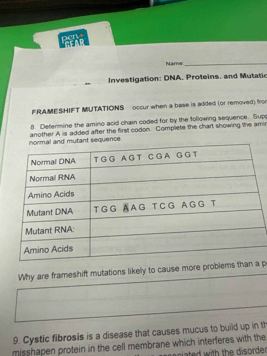 pen+
GEAR
Normal DNA
Normal RNA
Amino Acids
Mutant DNA
Mutant RNA:
Name:
FRAMESHIFT MUTATIONS
occur when a base is added (or removed) from
8. Determine the amino acid chain coded for by the following sequence. Supp
another A is added after the first codon. Complete the chart showing the amir
normal and mutant sequence.
Amino Acids
Investigation: DNA. Proteins. and Mutatic
TGG AGT CGA GGT
TGG AAG TCG AGG T
Why are frameshift mutations likely to cause more problems than a p
9. Cystic fibrosis is a disease that causes mucus to build up in th
misshapen protein in the cell membrane which interferes with the
popociated with the disorder