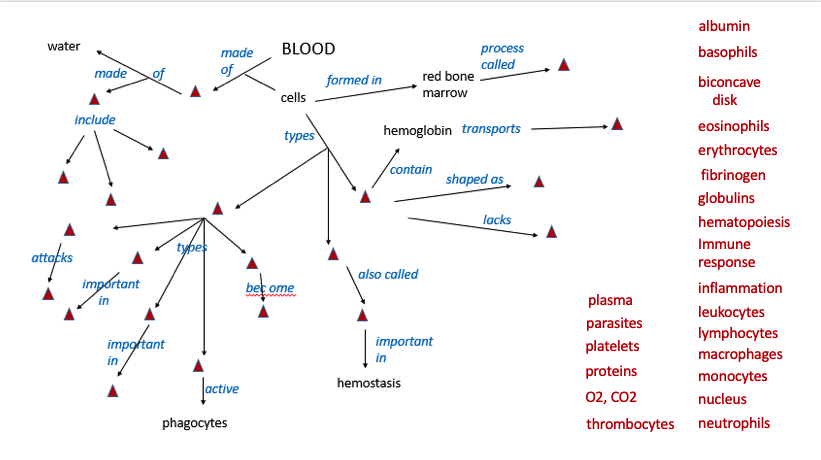 albumin
water
made
BLOOD
process
basophils
called
made
of
of
formed in
red bone
biconcave
marrow
cells
disk
include
types
hemoglobin transports
eosinophils
erythrocytes
contain
shaped as
fibrinogen
globulins
lacks
hematopoiesis
types
Immune
attapis
important
response
also called
bec ome
inflammation
in
plasma
leukocytes
lymphocytes
macrophages
parasites
impoftant
in
important
platelets
in
proteins
monocytes
Jactive
hemostasis
02, CO2
nucleus
phagocytes
thrombocytes neutrophils
