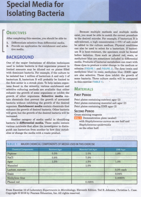 Special Media for
Isolating Bacteria
OBJECTIVES
Because multiple methods and multiple media
exist, you must be able to match the correct procedure
to the desired microbe. For example, if bacterium B is
salt-tolerant, a high concentration (>5%) of salt could
be added to the culture medium. Physical conditions
can also be used to select for a bacterium. If bacteri-
After completing this exercise, you should be able to:
1. Differentiate selective from differential media.
2. Provide an application for enrichment and selec-
tive media.
um B is heat-resistant, the specimen could be heated
before isolation. Dyes such as phenol red, eosin, or
methylene blue are sometimes ineluded in differential
BACKGROUND
media. Products of bacterial metabolism can react with
One of the major limitations of dilution techniques
used to isolate bacteria is that organisms present in
limited amounts may be diluted out on plates filled
with dominant bacteria. For example, if the culture to
be isolated has 1 million of bacterium A and only 1 of
bacterium B, bacterium B will probably be limited to
the first sector in a streak plate. To help isolate organ-
isms found in the minority, various enrichment and
selective culturing methods are available that either MATErials
enhance the growth of some organisms or inhibit the
growth of other organisms. Selective media con-
tain chemicals that prevent the growth of unwanted
bacteria without inhibiting the growth of the desired Petri plates containing mannitol salt agar (2)
organism. Enrichment media contain chemicals that
enhance the growth of desired bacteria. Other bacteria SECOND PERIOD
will grow, but the growth of the desired bacteria will be
these dyes to produce a color change in the medium or
colonies (FIGURE 1 and FIGURE 2). The dyes (eosin and
methylene blue) in eosin methylene blue (EMB) agar
are also selective. These dyes inhibit the growth of
some bacteria. Three culture media will be compared
in this exercise (TABLE 1).
FIRST PERIOD
Petri plates containing nutrient agar (2)
Petri plates containing EMB agar (2)
Gram-staining reagents
BSL-1 Demonstration plate (sealed)
with Staphylococcus aureus on one half and
Staphylococcus epidermidis
on the other half.
increased.
Another category of media useful in identifying
bacteria is differential media. These media contain
various nutrients that allow the investigator to distin-
guish one bacterium from another by how they metab-
olize or change the media with a waste product.
168OCEDNBE
TABLE 1
MAJOR CHEMICAL COMPONENTS OF MEDIA USED IN THIS EXERCISE
Chemical Components
Nutrient Agar
Mannitol Salt Agar
EMB Agar
Peptone
0.5%
1.0%
1.0%
NaCl
0.8%
7.5%
Agar
1.5%
1.5%
1.5%
Mannitol
1.0%
Lactose, sucrose
0.5% each
Eosin
0.04%
Methylene blue
0.0065%
Phenol red
0.025%
From Exercise 12 of Laboratory Experiments in Microbiology, Eleventh Edition. Ted R. Johnson, Christine L. Case.
Copyright © 2016 by Pearson Education, Inc. All rights reserved.
