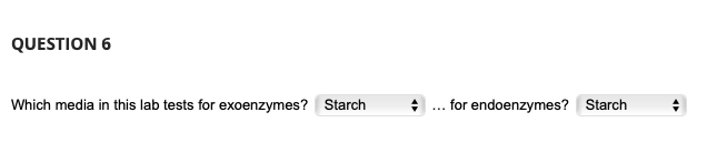 QUESTION 6
Which media in this lab tests for exoenzymes? Starch
+ ... for endoenzymes? Starch
