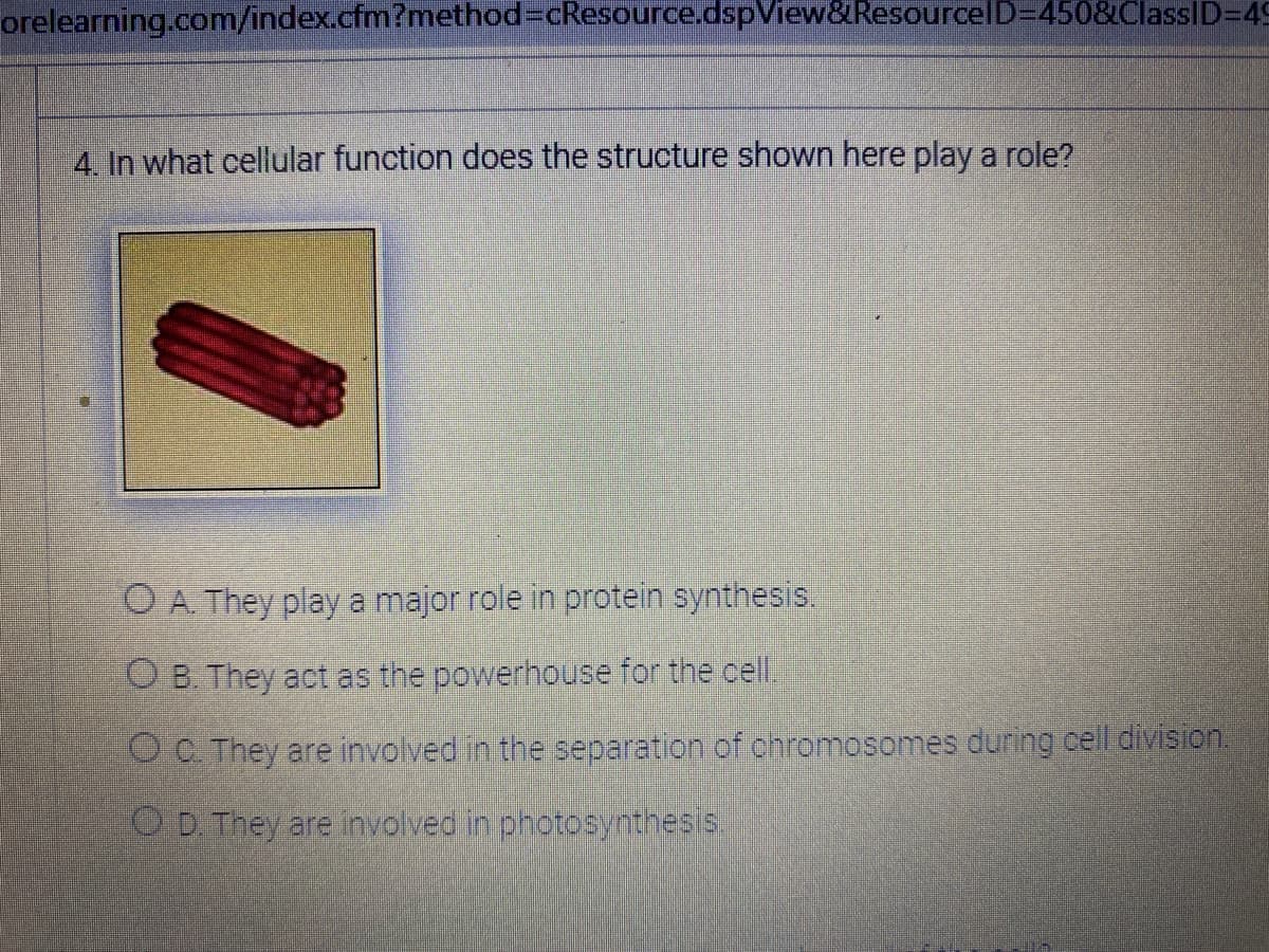 orelearning.com/index.cfm?method%3DcResource.dspView&ResourcelD=D450&ClassID=D49
4. In what cellular function does the structure shown here play a role?
O A. They play a major role in protein synthesis.
O B. They act as the powerhouse for the cell.
O C. They are involved in the separation of chromosomes during cell division.
O D. They are inyolved in photosynthesis.
