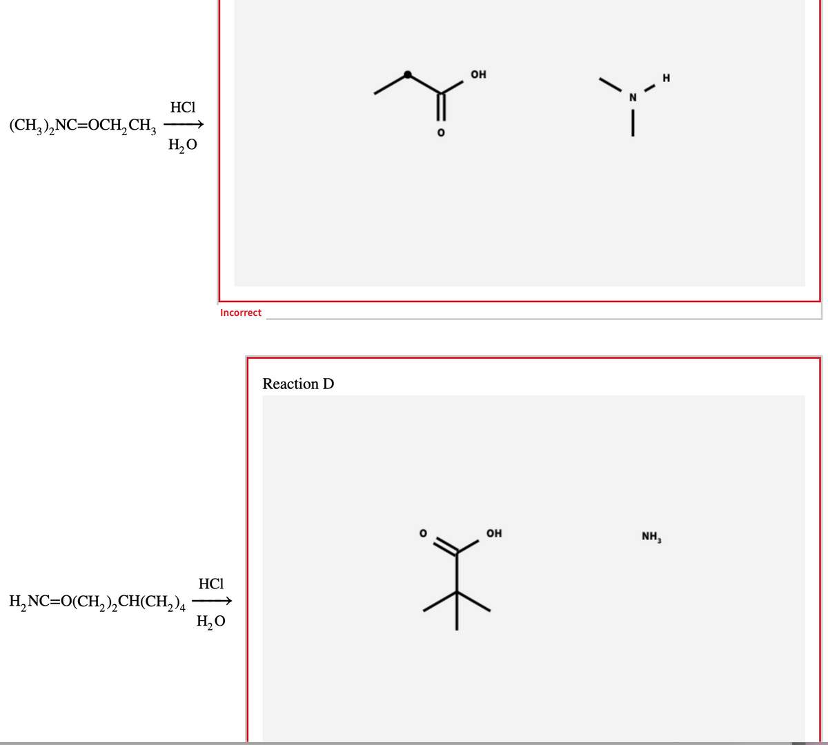 (CH3)₂NC=OCH₂ CH₂
HC1
H₂O
H₂NC=O(CH₂)₂CH(CH₂)4
Incorrect
HC1
H₂O
Reaction D
OH
Y Y
OH
NH,