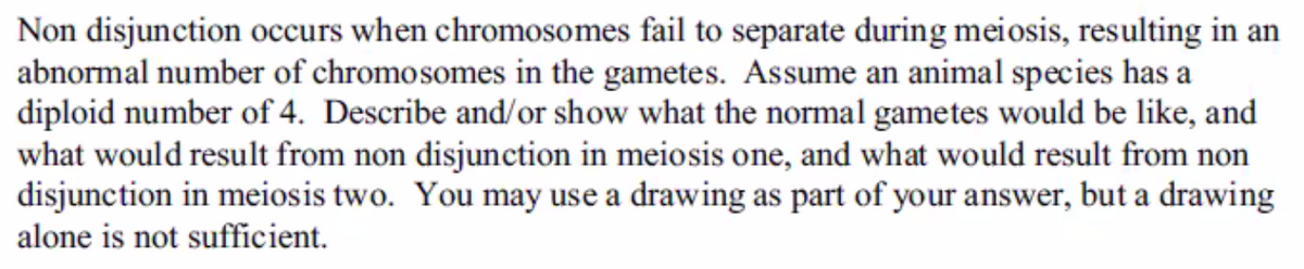 Non disjunction occurs when chromosomes fail to separate during meiosis, resulting in an
abnormal number of chromosomes in the gametes. Assume an animal species has a
diploid number of 4. Describe and/or show what the normal gametes would be like, and
what would result from non disjunction in meiosis one, and what would result from non
disjunction in meiosis two. You may use a drawing as part of your answer, but a drawing
alone is not sufficient.
