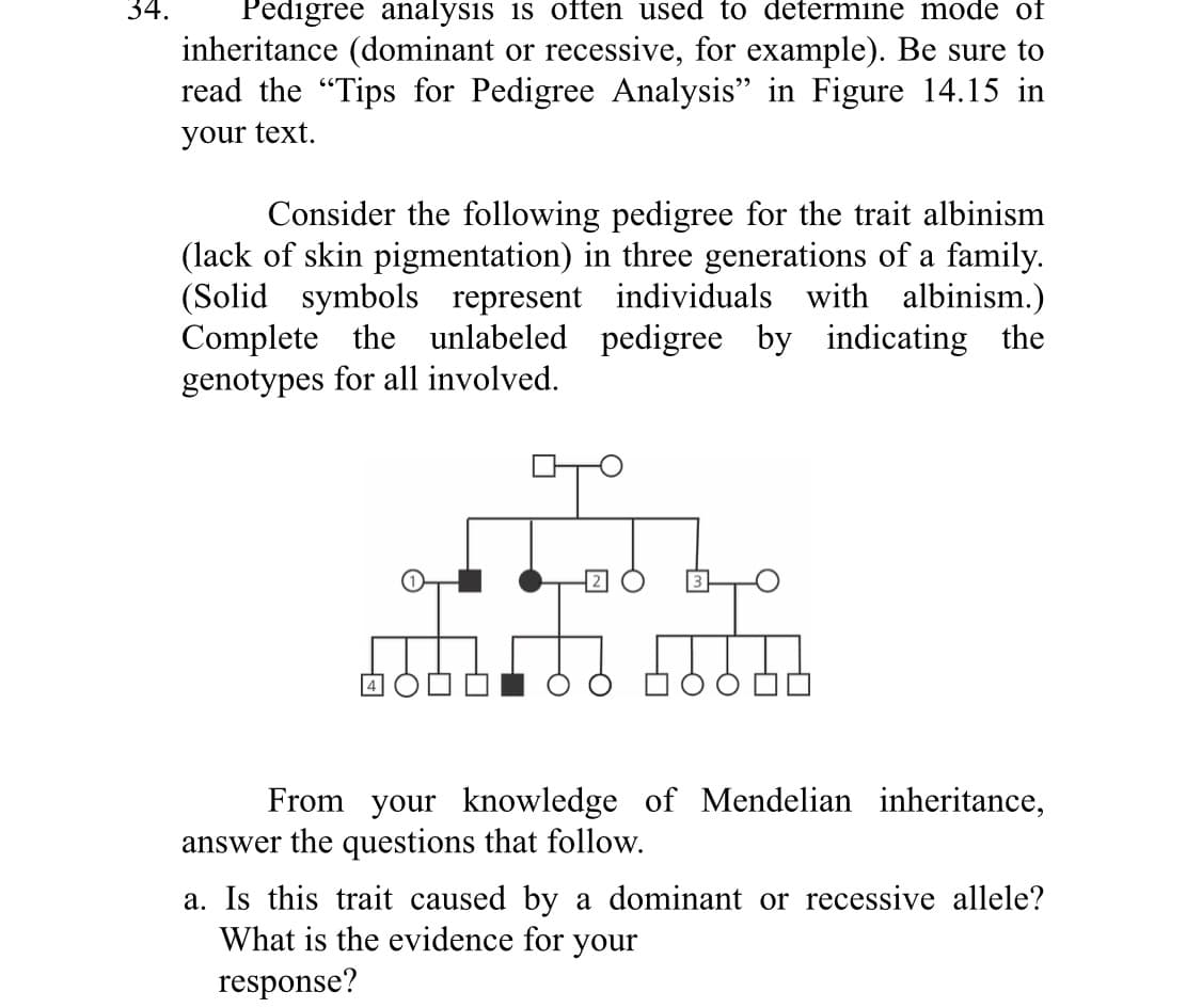 Pedigree analysis is often used to determine mode of
inheritance (dominant or recessive, for example). Be sure to
read the "Tips for Pedigree Analysis" in Figure 14.15 in
34.
your text.
Consider the following pedigree for the trait albinism
(lack of skin pigmentation) in three generations of a family.
(Solid symbols represent individuals with albinism.)
Complete the unlabeled pedigree by indicating the
genotypes for all involved.
From your knowledge of Mendelian inheritance,
answer the questions that follow.
a. Is this trait caused by a dominant or recessive allele?
What is the evidence for your
response?
