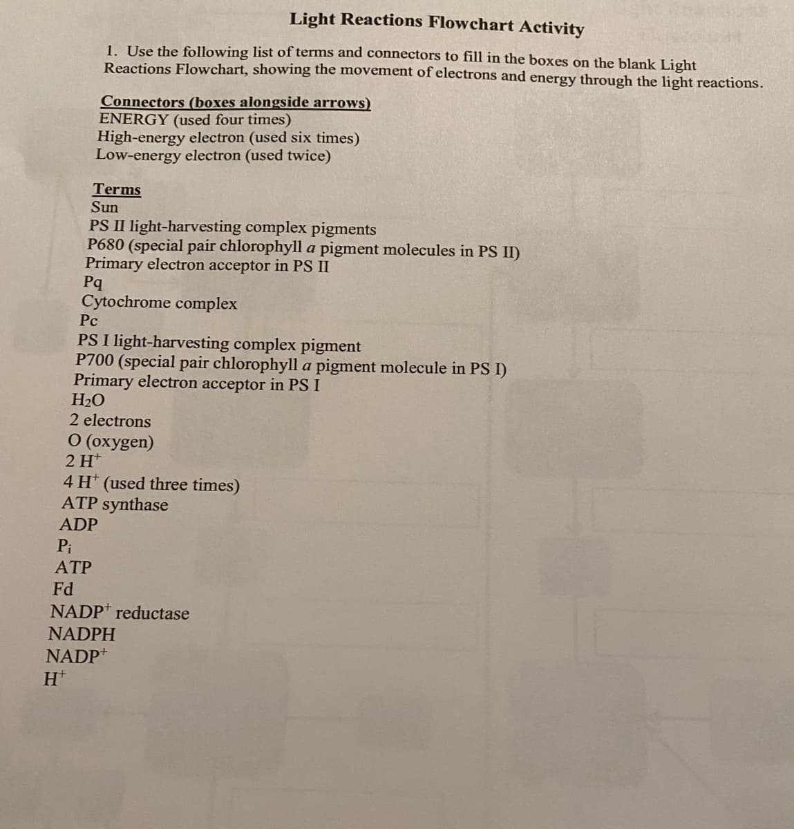 Light Reactions Flowchart Activity
1. Use the following list of terms and connectors to fill in the boxes on the blank Light
Reactions Flowchart, showing the movement of electrons and energy through the light reactions.
Connectors (boxes alongside arrows)
ENERGY (used four times)
High-energy electron (used six times)
Low-energy electron (used twice)
Terms
Sun
PS II light-harvesting complex pigments
P680 (special pair chlorophyll a pigment molecules in PS II)
Primary electron acceptor in PS II
Pq
Cytochrome complex
Pc
PS I light-harvesting complex pigment
P700 (special pair chlorophyll a pigment molecule in PS I)
Primary electron acceptor in PS I
H2O
2 electrons
O (oxygen)
2 Н*
4 H (used three times)
ATP synthase
ADP
Pi
АТР
Fd
NADP reductase
NADPH
NADP*
H*
