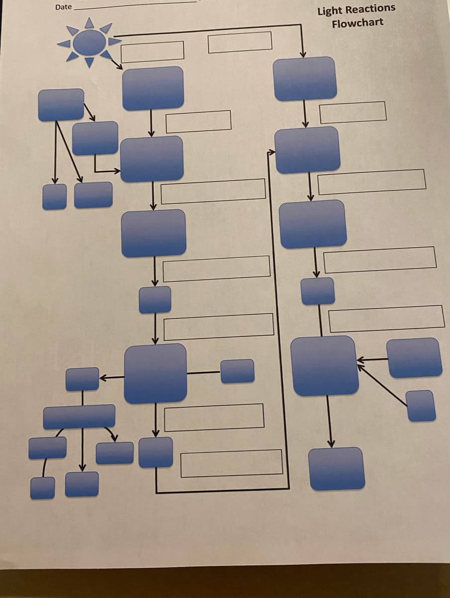 Date
Light Reactions
Flowchart
