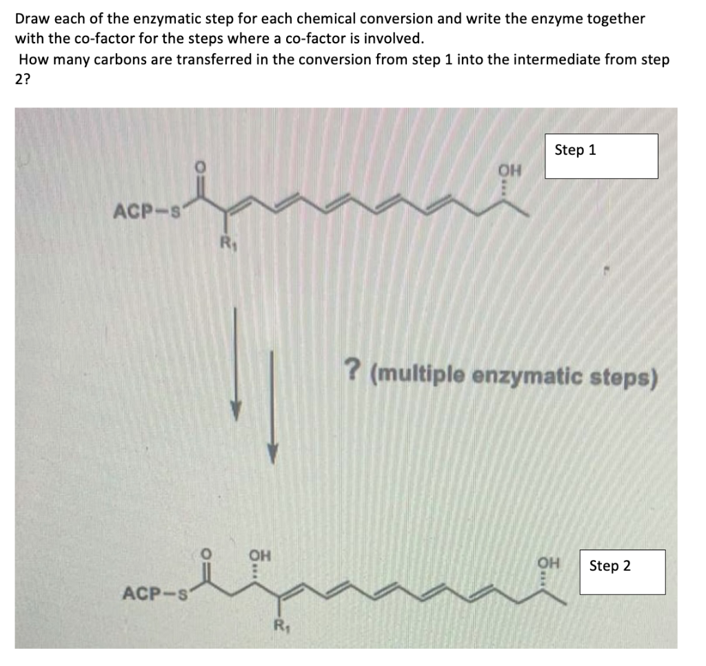 Draw each of the enzymatic step for each chemical conversion and write the enzyme together
with the co-factor for the steps where a co-factor is involved.
How many carbons are transferred in the conversion from step 1 into the intermediate from step
2?
Step 1
OH
ACP-s
? (multiple enzymatic steps)
OH
OH
Step 2
ACP-S
R1
5..
