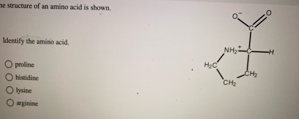 he structure of an amino acid is shown.
Identify the amino acid.
O proline
histidine
lysine
O arginine
H₂C
NH₂C -H
CH₂
CH₂
