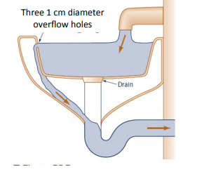 Three 1 cm diameter
overflow holes
- Drain
i
