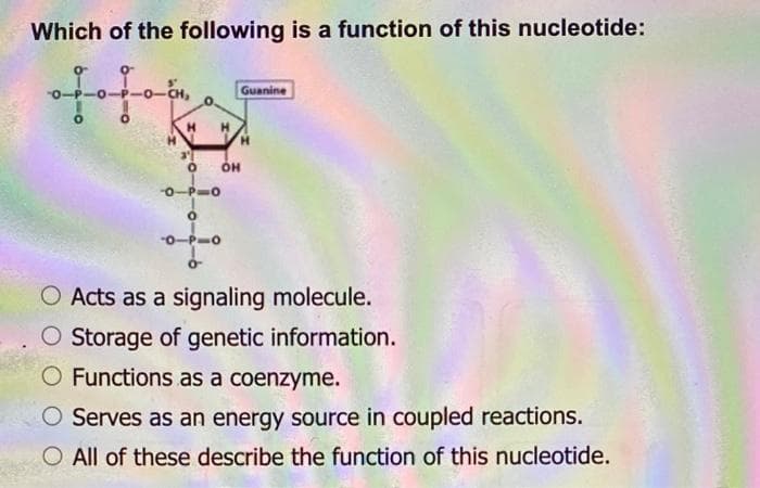 Which of the following is a function of this nucleotide:
3'
H
O
011-0
0
Guanine
H
OH
O Acts as a signaling molecule.
Storage of genetic information.
O Functions as a coenzyme.
Serves as an energy source in coupled reactions.
O All of these describe the function of this nucleotide.