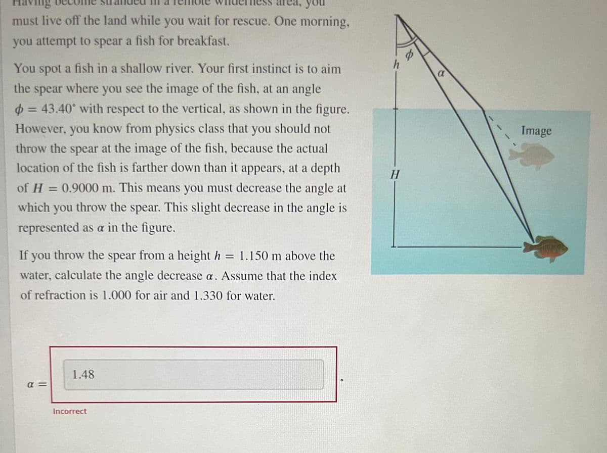 Ving
you
must live off the land while you wait for rescue. One morning,
you attempt to spear a fish for breakfast.
You spot a fish in a shallow river. Your first instinct is to aim
the spear where you see the image of the fish, at an angle
$ = 43.40° with respect to the vertical, as shown in the figure.
%3D
However, you know from physics class that you should not
Image
throw the spear at the image of the fish, because the actual
location of the fish is farther down than it appears, at a depth
H.
of H = 0.9000 m. This means you must decrease the angle at
which you throw the spear. This slight decrease in the angle is
represented as a in the figure.
If you throw the spear from a height h = 1.150 m above the
%3D
water, calculate the angle decrease a. Assume that the index
of refraction is 1.000 for air and 1.330 for water.
1.48
a =
Incorrect
