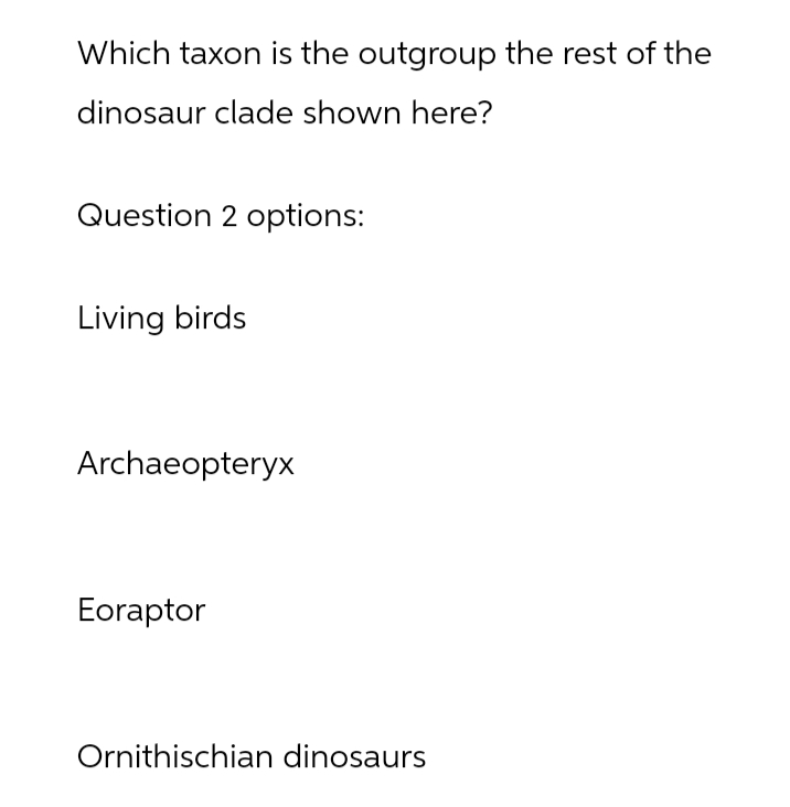 Which taxon is the outgroup the rest of the
dinosaur clade shown here?
Question 2 options:
Living birds
Archaeopteryx
Eoraptor
Ornithischian dinosaurs