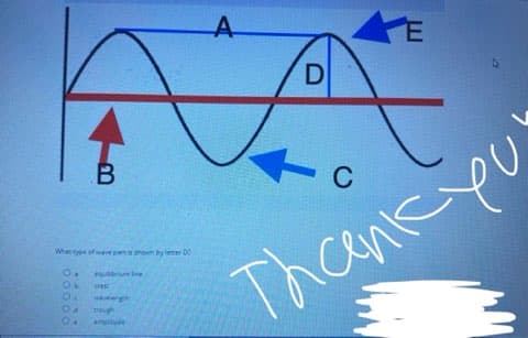 ### Understanding Wave Parts

In the diagram provided, we see a basic sine wave used in physics to represent various types of periodic oscillations. Let's break down the different components labeled in the wave.

#### Diagram Explanation
1. **Line A** represents the **wave's crest**, which is the highest point of the wave.
2. **Line B** points to the **wave's trough**, which is the lowest point of the wave.
3. **Line C** corresponds to the **wavelength** of the wave, which is the distance between two consecutive crests or troughs.
4. **Line D** indicates a **node**, a point where the wave crosses the equilibrium line and has zero amplitude.
5. **Line E** refers to the **amplitude** of the wave, which is the maximum distance the wave reaches from its equilibrium line.

#### Multiple-Choice Question
At the bottom of the diagram, there is a multiple-choice question:
"What type of wave part is shown by letter D?"
- A. equilibrium line
- B. crest
- C. wavelength
- D. trough
- E. amplitude

The correct answer to the question is:
- A. equilibrium line

This educational resource is designed to help students understand the basic parts of a wave, focusing on their properties and how to identify them.

### Summary
Identifying various sections of a wave is fundamental for understanding wave dynamics in physics. Diagram labels assist in visual learning and reinforce conceptual knowledge.