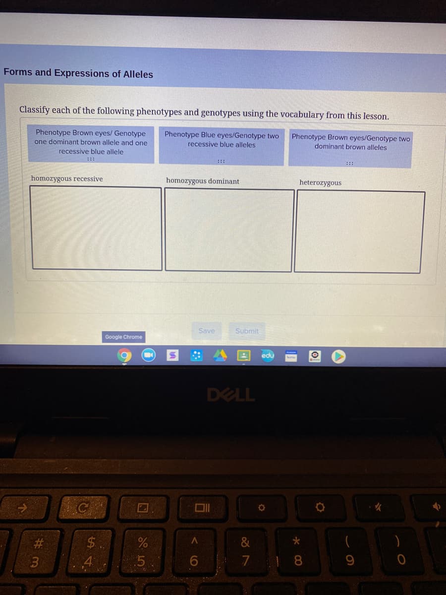 Forms and Expressions of Alleles
Classify each of the following phenotypes and genotypes using the vocabulary from this lesson.
Phenotype Brown eyes/ Genotype
one dominant brown allele and one
Phenotype Blue eyes/Genotype two
Phenotype Brown eyes/Genotype two
recessive blue alleles
dominant brown alleles
recessive blue allele
::
:::
:::
homozygous recessive
homozygous dominant
heterozygous
Save
Submit
Google Chrome
edu
DELL
4
7
8.
9.
tw #
