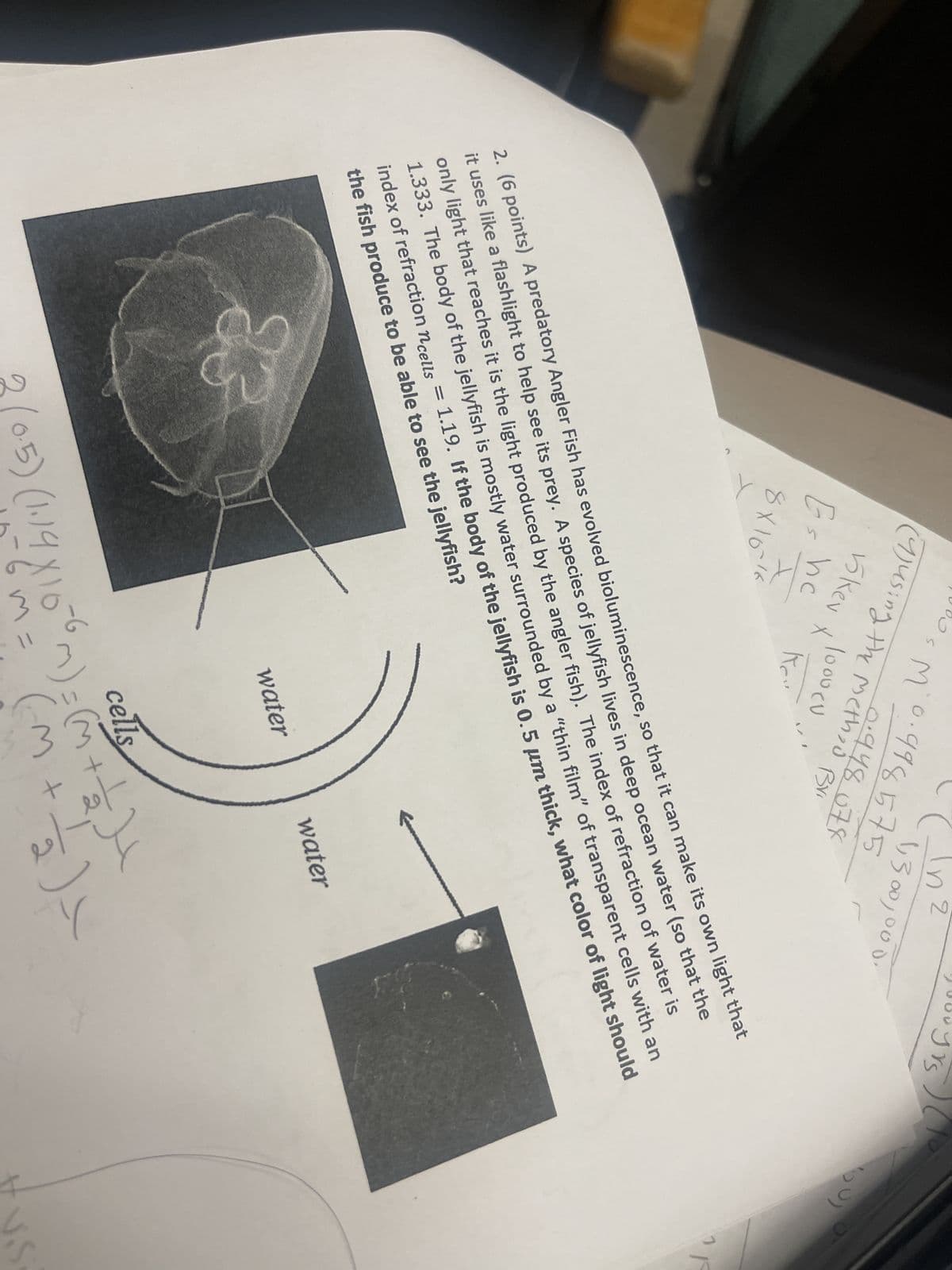 yrs
In 2
1,300,000.
5
Os M. 0.998575
0.948 078
(using the method Bri
5kev looo cu
Es
hc
Ke
+
8×10-16
2. (6 points) A predatory Angler Fish has evolved bioluminescence, so that it can make its own light that
it uses like a flashlight to help see its prey. A species of jellyfish lives in deep ocean water (so that the
only light that reaches it is the light produced by the angler fish). The index of refraction of water is
1.19. If the body of the jellyfish is 0.5 μm thick, what color of light should
1.333. The body of the jellyfish is mostly water surrounded by a "thin film" of transparent cells with an
index of refraction ncells
the fish produce to be able to see the jellyfish?
=
23
water
water
cells
20.5) (1.14x10m)=3+
6 m =
M+
S
די