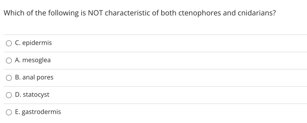 Which of the following is NOT characteristic of both ctenophores and cnidarians?
C. epidermis
A. mesoglea
B. anal pores
D. statocyst
O E. gastrodermis
