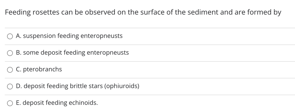 Feeding rosettes can be observed on the surface of the sediment and are formed by
O A. suspension feeding enteropneusts
B. some deposit feeding enteropneusts
C. pterobranchs
O D. deposit feeding brittle stars (ophiuroids)
O E. deposit feeding echinoids.
