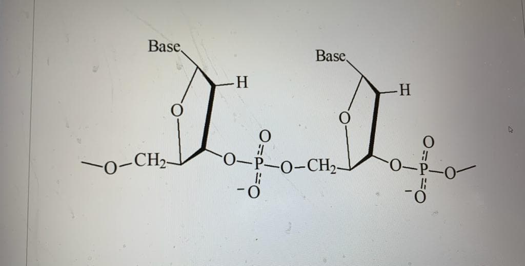 Base,
Base,
0-CH2-
0-P-O
-0-CH2-
