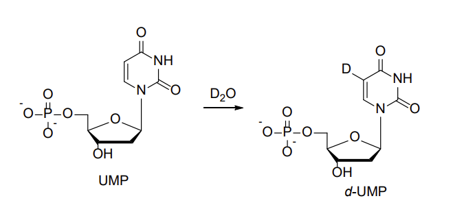 0
о-р-с
OH
UMP
NH
D20
0
о-р-о
OH
d-UMP
NH