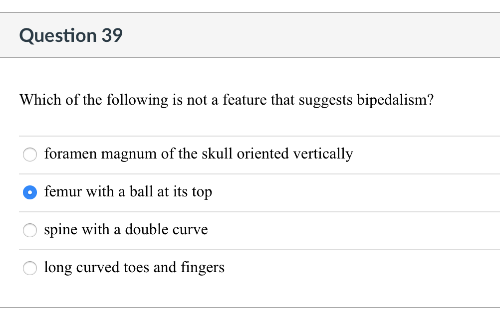 Question 39
Which of the following is not a feature that suggests bipedalism?
foramen magnum of the skull oriented vertically
femur with a ball at its top
spine with a double curve
long curved toes and fingers