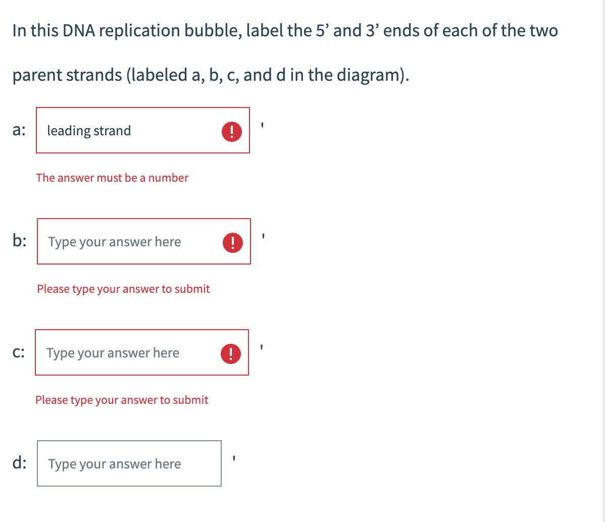 In this DNA replication bubble, label the 5' and 3' ends of each of the two
parent strands (labeled a, b, c, and d in the diagram).
a:
b:
C:
d:
leading strand
The answer must be a number
Type your answer here
Please type your answer to submit
Type your answer here
Please type your answer to submit
Type your answer here
!
!
I