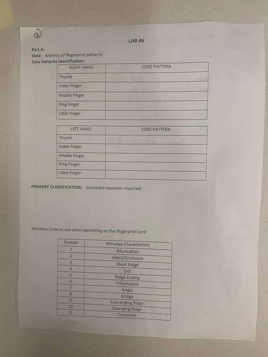 Part A:
Data: Analysis of fingerprint patterns
Core Patterns Identification:
LAB #6
CORE PATTERN
RIGHT HAND
Thumb
Index Finger
1000
Middle Finger
Ring Finger
Little Finger
LEFT HAND
CORE PATTERN
Thumb
Index Finger
Middle Finger
Ring Finger
Little Finger
PRIMARY CLASSIFICATION: (complete equation required)
Minutiae Code to use when identifying on the fingerprint card
Number
1
2
3
4
5
6
7
8
9
10
11
Minutiae Characteristic
Bifurication
Island/Enclosure
Short Ridge
Dot
Ridge Ending
Trifurication
Angle
Bridge
Converging Ridge
Diverging Ridge
Crossover