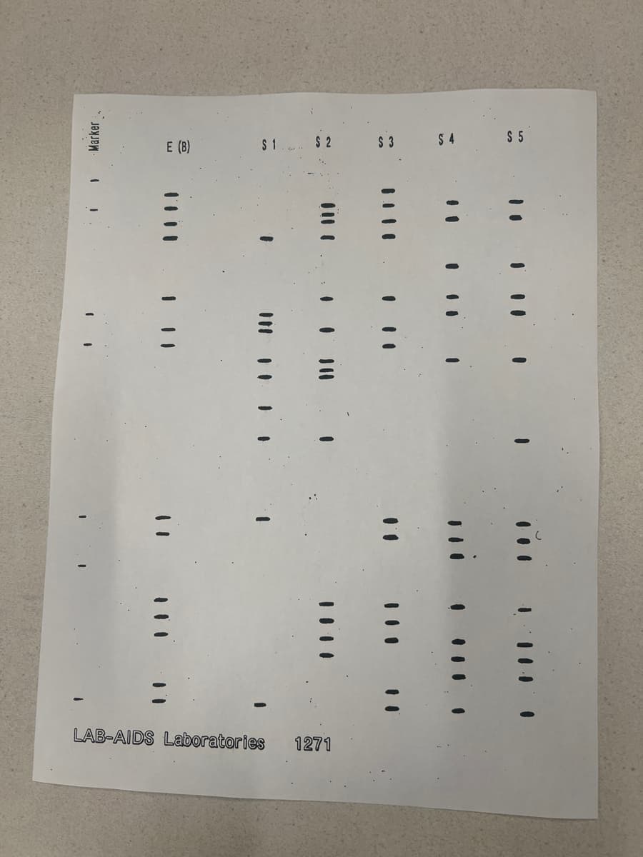 LAB-AIDS Laboratories 1271
1 1
Marker
"
E (B)
$1.
$ 2
$ 3
$ 4
$ 5