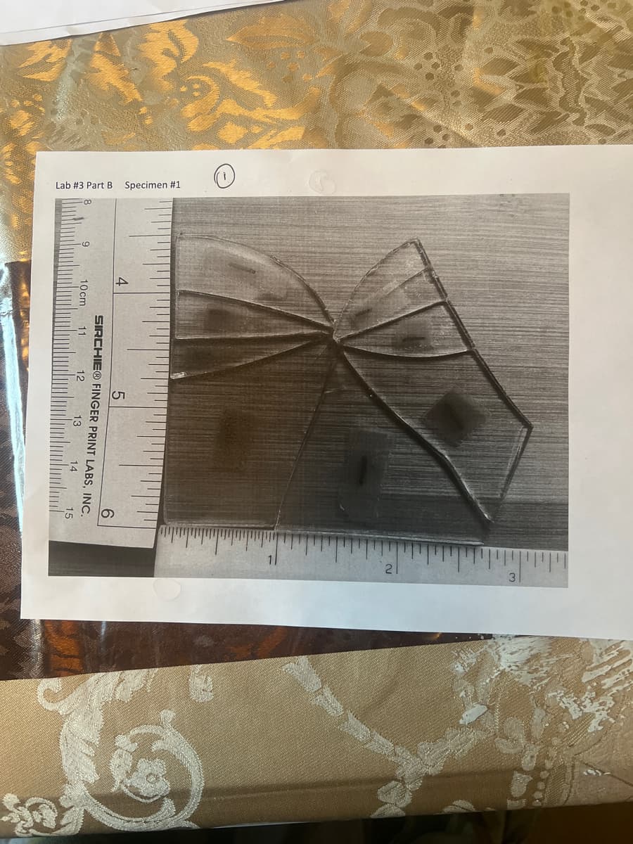 Lab #3 Part B Specimen #1
4
5
6
SIRCHIE® FINGER PRINT LABS, INC.
10cm
11
12
13
14
15
2