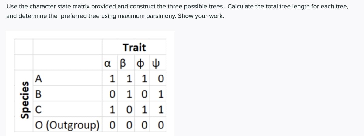 Use the character state matrix provided and construct the three possible trees. Calculate the total tree length for each tree,
and determine the preferred tree using maximum parsimony. Show your work.
Trait
α β
1 1 1 0
0 1 0 1
A
В
1 0 1 1
0 0 0 0
O (Outgroup)
Species
