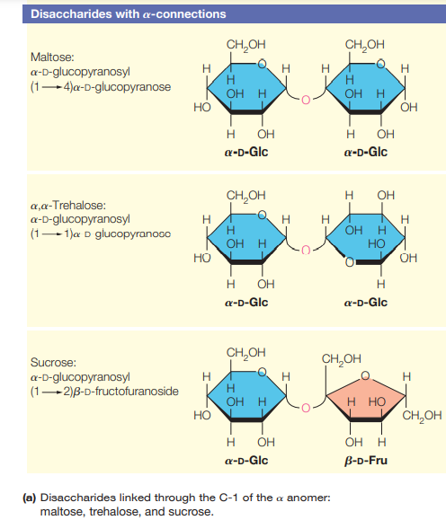 Disaccharides with æ-connections
CH,OH
CH,OH
Maltose:
a-D-glucopyranosyl
(1-4)a-D-glucopyranose
H
H.
H
OH H
но
OH H
OH
H
OH
н он
a-D-Glc
a-D-Glc
CH,OH
H
OH
a,a-Trehalose:
a-D-glucopyranosyl
(1-1)a D glucopyranoso
H.
ОН Н
HO
H
OH H
OH
H
OH
H
a-D-Glc
a-D-Glc
CH,OH
CH,OH
Sucrose:
a-D-glucopyranosyl
(1-2)B-D-fructofuranoside
H
H
OH H
H.
н но
CH,OH
H
OH
он н
a-D-Glc
B-D-Fru
(a) Disaccharides linked through the C-1 of the a anomer:
maltose, trehalose, and sucrose.
우
