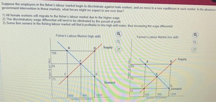 Suppose the employers in the fisher's labour market begin to discriminate against male workers, and we move to a new equilibrium in each market in the absence
government intervention in these markets, what forces might we expect to see over time?
1) All female workers will migrate to the fisher's labour market due to the higher wage
2) The discriminatory wage differential will tend to be eliminated by the pursuit of profit
3) Some firm owners in the fishing labour market will find it profitable to hire high-skill males, thus increasing the wage differential
Farmer's Labour Market (low skill)
Wage ($ per day)
100
85
Fisher's Labour Market (high skill)
70
C
A
600
900
Number of Workers
B
D
1200
Supply
Demand
Q
Q
150
E
Wage (Sper day)
18
70
55
600
900
Number of Workers
B
Supply
D
Demand
1200