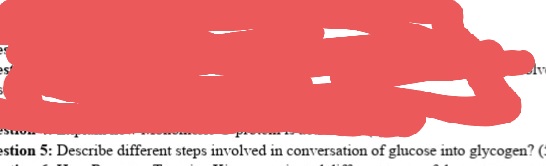 es
estion 5: Describe different steps involved in conversation of glucose into glycogen? (:
