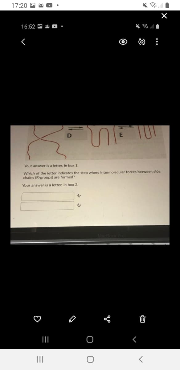 17:20
16:52
E
Your answer is a letter, in box 1.
Which of the letter indicates the step where intermolecular forces between side
chains (R-groups) are formed?
Your answer is a letter, in box 2.
A
II
