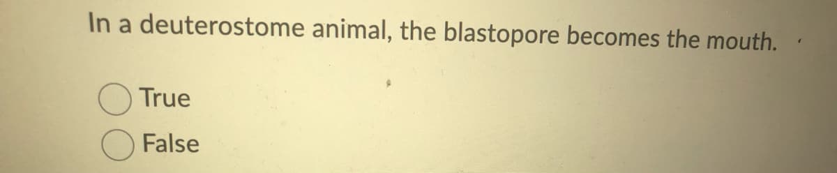 In a deuterostome animal, the blastopore becomes the mouth.
True
False
