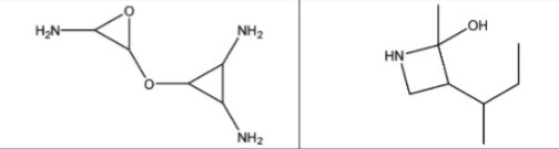 H,N-
NH2
HO
HN
NH2
