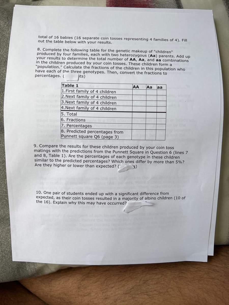 total of 16 babies (16 separate coin tosses representing 4 families of 4). Fill
out the table below with your results.
8. Complete the following table for the genetic makeup of "children"
produced by four families, each with two heterozygous (Aa) parents. Add up
your results to determine the total number of AA, Aa, and aa combinations
in the children produced by your coin tosses. These children form a
"population." Calculate the fractions of the children in this population who
have each of the three genotypes. Then, convert the fractions to
percentages. (
hts)
Table 1
1.First family of 4 children
2.Next family of 4 children
3.Next family of 4 children
4.Next family of 4 children
5. Total
6. Fractions
7. Percentages
8. Predicted percentages from
Punnett square Q6 (page 3)
AA
Aa
aa
or heads p.
ed by the
ng bebvn
9. Compare the results for these children produced by your coin toss
matings with the predictions from the Punnett Square in Question 6 (lines 7
and 8, Table 1). Are the percentages of each genotype in these children
similar to the predicted percentages? Which ones differ by more than 5%?
Are they higher or lower than expected? (
10. One pair of students ended up with a significant difference from
expected, as their coin tosses resulted in a majority of albino children (10 of
the 16). Explain why this may have occurred?
