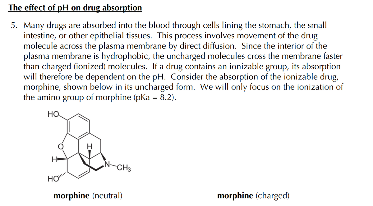 The effect of pH on drug absorption
5. Many drugs are absorbed into the blood through cells lining the stomach, the small
intestine, or other epithelial tissues. This process involves movement of the drug
molecule across the plasma membrane by direct diffusion. Since the interior of the
plasma membrane is hydrophobic, the uncharged molecules cross the membrane faster
than charged (ionized) molecules. If a drug contains an ionizable group, its absorption
will therefore be dependent on the pH. Consider the absorption of the ionizable drug,
morphine, shown below in its uncharged form. We will only focus on the ionization of
the amino group of morphine (pKa = 8.2).
НО,
H
HO..
N-CH3
morphine (neutral)
morphine (charged)